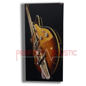 printelt akusztikai panel gitaros