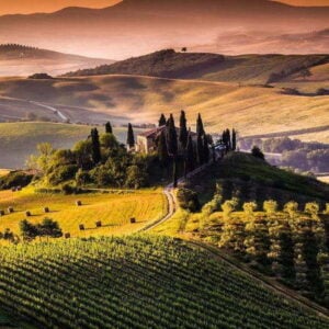 fényképes akusztikai panelek (37)