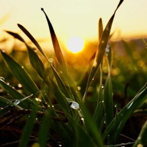 Fényképes Extra Sűrű Vékony hangelnyelő Panelek -100x50x2-4cm- egyedi fényképpel is -70